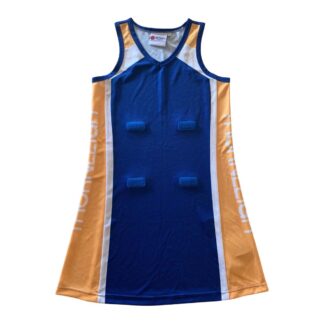 Gold/Navy A Line Dress