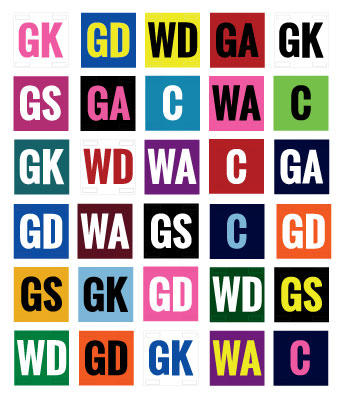 Netball Patches